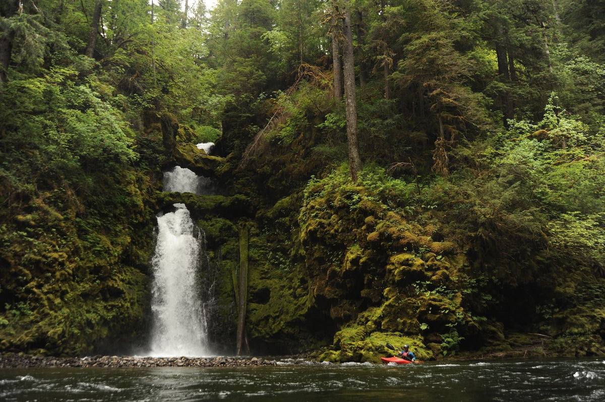 NEW REQUIREMENT TO CARRY A BOATER EDUCATION CARD PROPOSED FOR WASHINGT