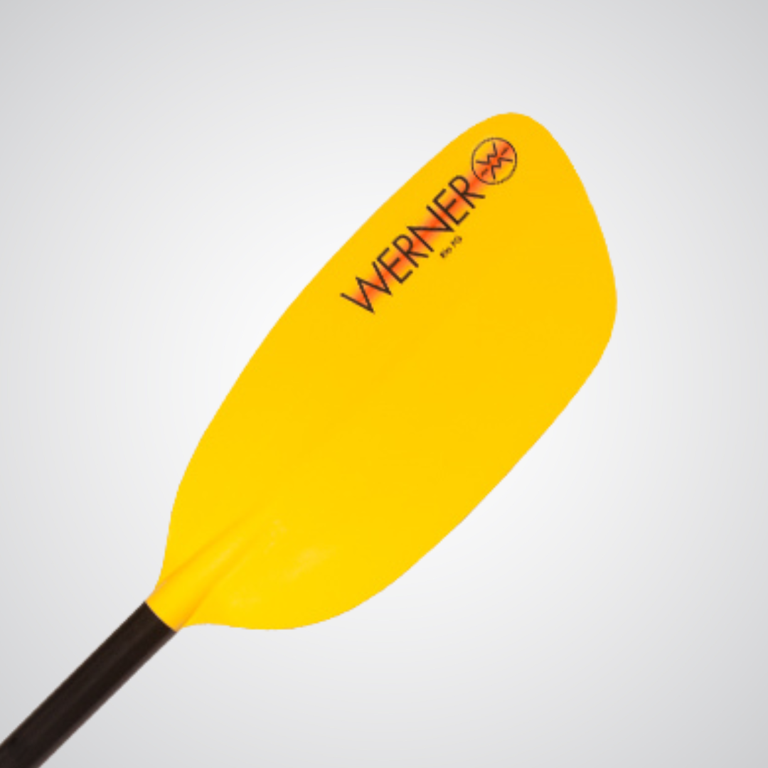 Werner Paddles | Rio FG 2 Piece Straight Shaft