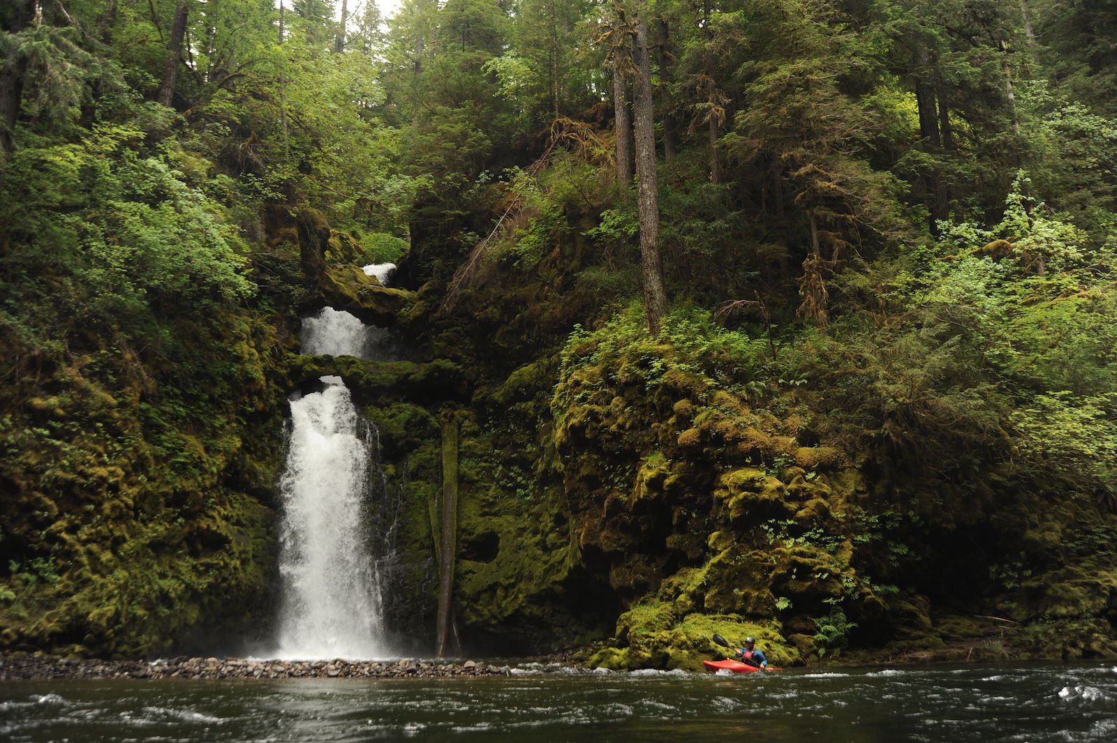 NEW REQUIREMENT TO CARRY A BOATER EDUCATION CARD PROPOSED FOR WASHINGTON STATE